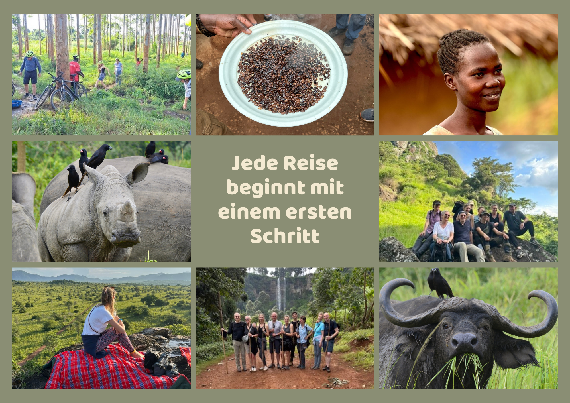 Menschen auf Safari, lächelnd. Rhinozeros mit Vögeln. Kaffeesamen. Afrikanische Landschaft.