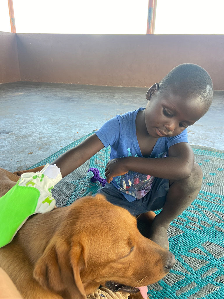 Ein Kind in blauem Shirt sitzt mit neutralem Gesichtsausdruck und streichelt einen braunen Hund.